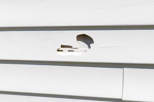 Trusted Browns Lake, WI Junk Removal Experts